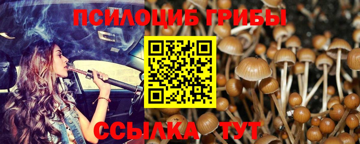 Псилоцибиновые грибы ЛСД Полевской