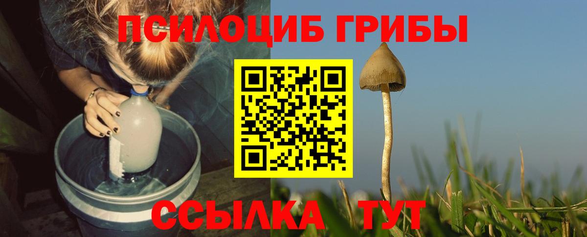 Полевской  Псилоцибиновые грибы ЛСД  Псилоцибиновые грибы Psilocybine cubensis  Вход с VPN 